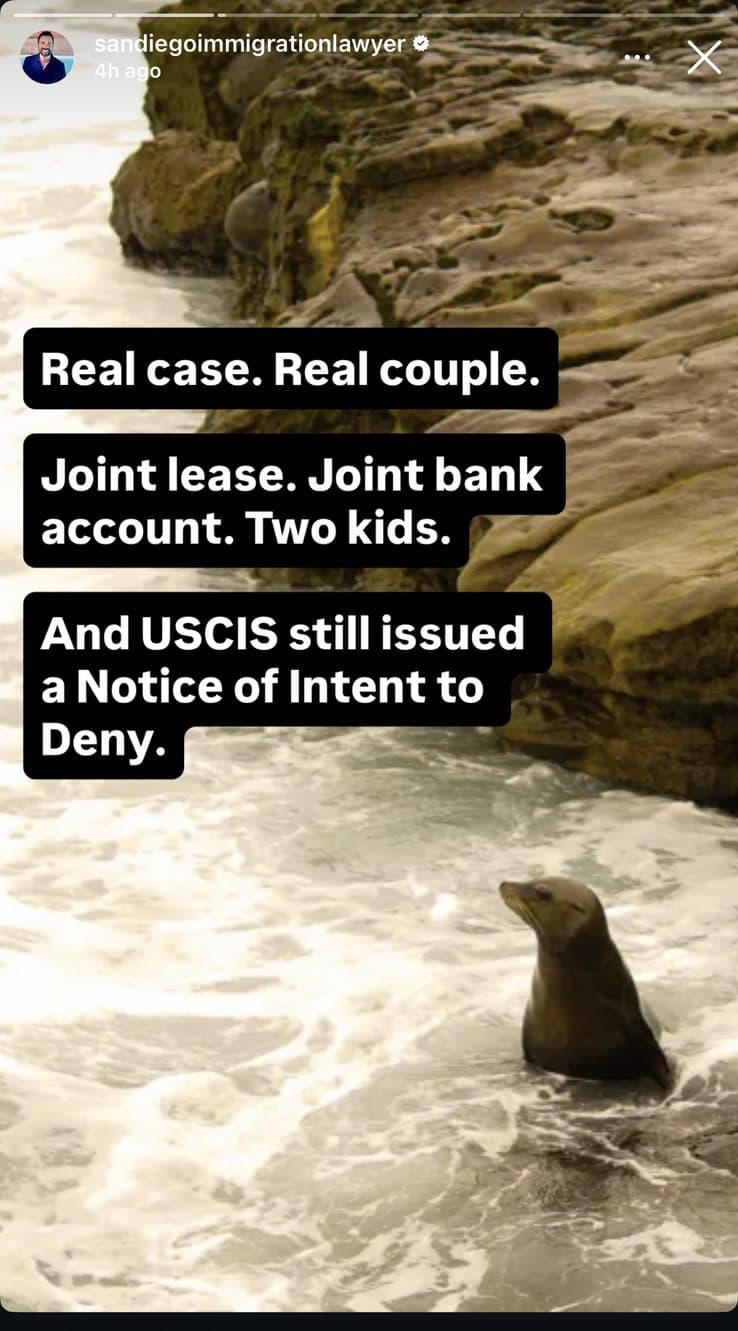 Instagram story frame: 'Real case. Real couple. Joint lease. Joint bank account. Two kids. And USCIS still issued a Notice of Intent to Deny.'
